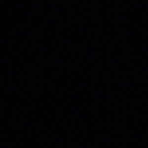 Meet your Posher, Eva